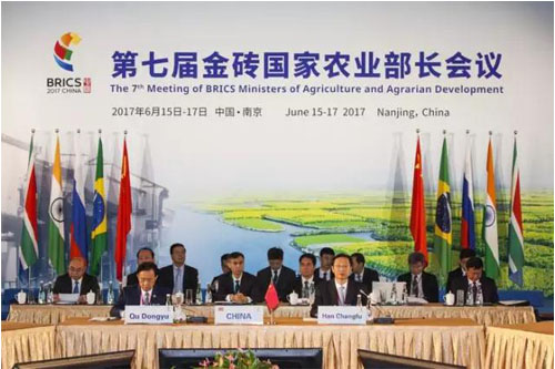 微信图片_20170621100717副本.jpg